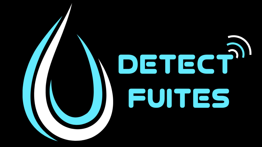Logo Detect Fuites