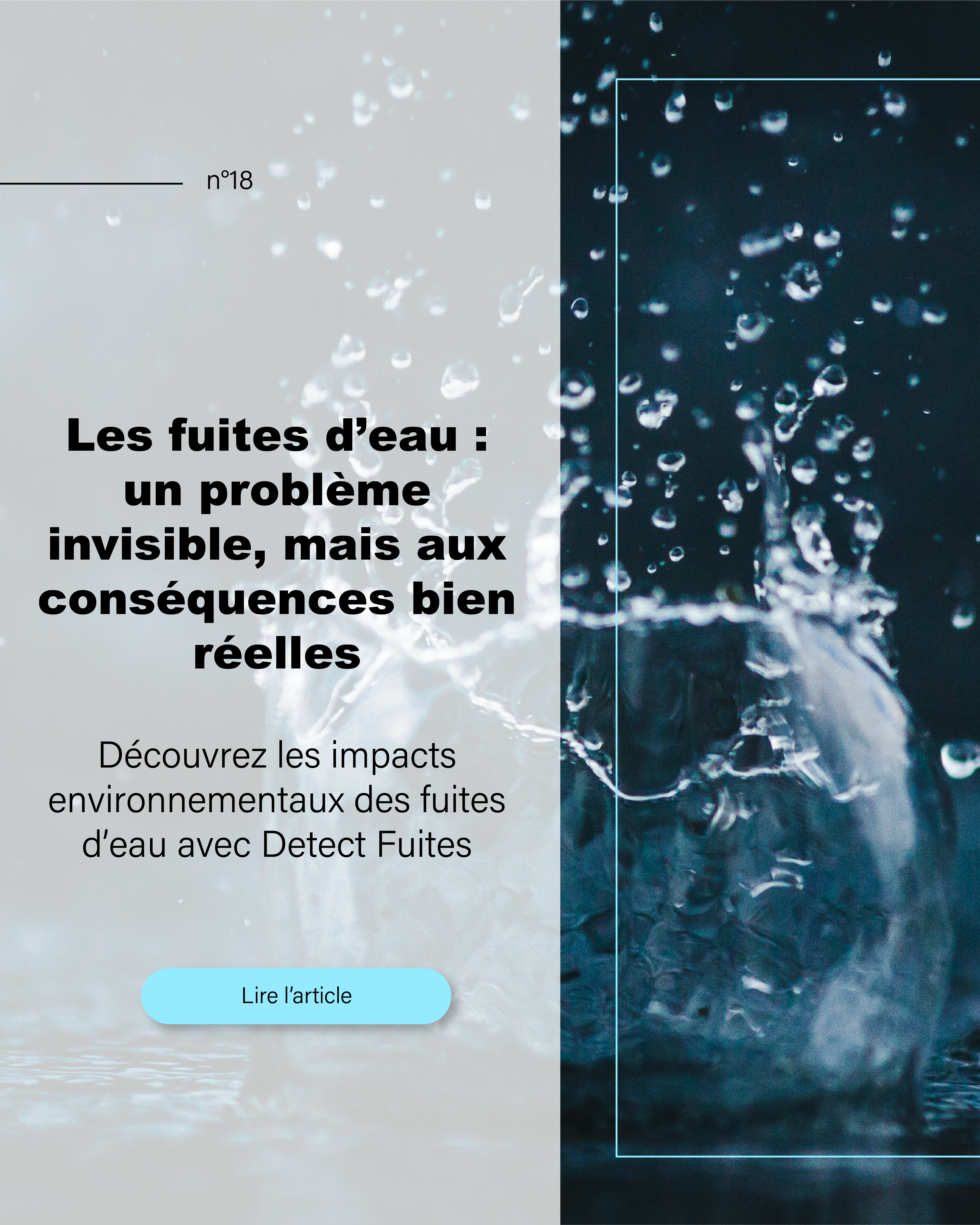 Lire la suite à propos de l’article Impacts environnementaux fuite eau