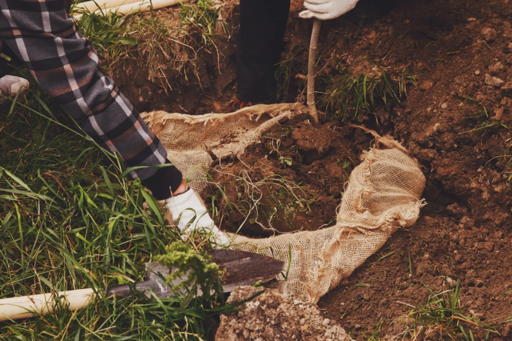 détection de réseaux enterrés 